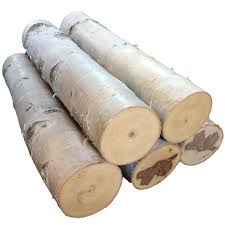 White Birch Logs For Fireplace Large White Birch Fireplace Log Set Of 5 Free Shipping Etsy In 2020 Fireplace Logs Birch Logs Fireplace Accessories