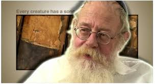 PDF) Singing corporeality: reinventing the vocalic body in postopera