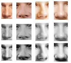 Types of the human nose. How Do You Draw A Nose Portrait Drawings