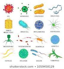 Pin On Biology Lessons In The Classroom