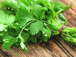 how cilantro removes most of heavy metals from your body of heavy metals from your body