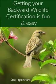 Building Your Own Backyard Wildlife Sanctuary Crazy Organic Mama Backyard Wildlife Habitat Wildlife Sanctuary