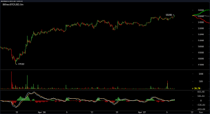 The sharp rise in the value of bitcoins recently has led to worries of a potential bubble in the cryptocurrency market, some analysts warn, with bitcoin more than doubling since the start of 2021. Market Update Bitcoin Bulls Bounce Back Dogecoin Slumps Xrp Jumps 18 Market Updates Bitcoin News