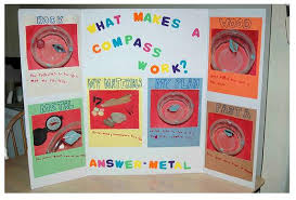 See more ideas about cells project, plant cell project, plant cell. Plant Cell Diagram And Science Displays