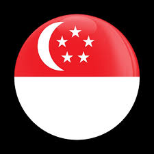 Image result for singapore flag