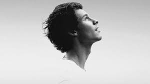 Voir malcolm en streaming vf et vostfr gratuit remarque :. Shawn Mendes In Wonder Netflix Official Site