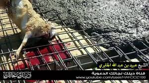 من تحليل المصادر التاريخية والأثرية يُفترضهل المصدر موثوق؟ بقي المسجد الأقصى على حاله التي هو عليها الآن، حتى بعد قيام إسرائيل التي تسعى لبناء هيكل سليمان أو الهيكل الثالث على جبل الهيكل (مصطلح يهودي) أو الحرم القدسي الشريف (مصطلح إسلامي). Ø­ÙƒÙ… Ø§Ù„Ø°Ø¨Ø­ Ø¹Ù†Ø¯ Ø¨Ù†Ø§Ø¡ Ù…Ù†Ø²Ù„ Ø¬Ø¯ÙŠØ¯ Ø£Ùˆ Ø¹Ù†Ø¯ Ø´Ø±Ø§Ø¡ Ø³ÙŠØ§Ø±Ø© Ø¬Ø¯ÙŠØ¯Ø© ÙˆÙ…Ø§Ø´Ø§Ø¨Ù‡ ÙˆØªÙ„Ø·ÙŠØ®Ù‡Ø§ Ø¨Ø§Ù„Ø¯Ù…Ø§Ø¡ Ø®Ø·ÙŠØ± Ø¬Ø¯Ø§ Youtube