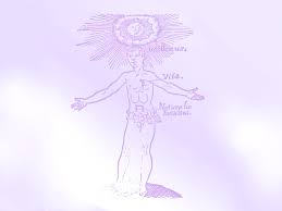 CFP23 | AUTOCOSCIENZA