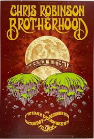 Music Concert Posters | Authentic Handbills | Visible Vibrations