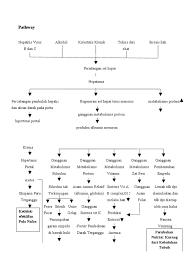 Appropriate timing of the initial referral for transplant evaluation is critical for optimal care of patient with cirrhosis. Pathway Sirosis