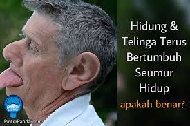 Pin Di Ipa Science