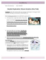 • a mutation is a random change to an organism's dna sequence. Student Exploration Mouse Genetics One Trait Answer Key Docx Student Exploration Mouse Genetics One Trait Answer Key Download Student Exploration Course Hero