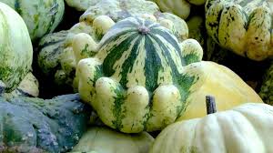 Wenn der kürbis innen grün ist, dann war er wohl auch aussen an der schale grün gesprenkelt? Die Beliebtesten Kurbissorten Gartennatur Com