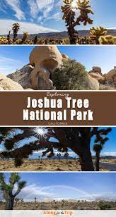 Things To Do In Joshua Tree National Park National Parks Southern California Travel California Travel