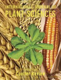 Image result for Mimulopsis excellens