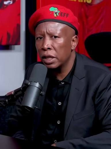 Julius Malema - Wikipedia