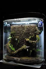 Pin On Vivarium
