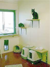 Make Your Own Cat Trees Towers And Other Cat Structures Cat Room Cat Diy Animal Room