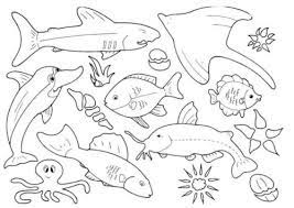 A man always considered the breadwinner in the family. 35 Free Fish Coloring Pages Printable