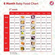 6 months baby food chart with indian recipes paperblog