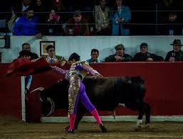 Franco Salcedo - Pagina Oficial