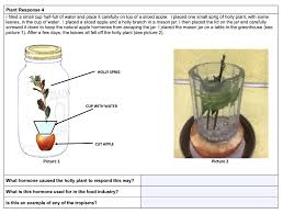 Maybe you would like to learn more about one of these? Part 2 Background Plant Growth Is Regulated By Chegg Com