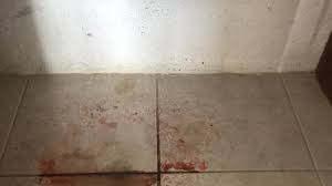 Bay minette, al 36507 phone: Ferienanlage Ventanas Al Mar San Miguel De Cozumel Holidaycheck Quintana Roo Mexiko