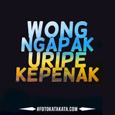 Gambar Kata Kata Jawa Ngapak Lucu Dp Bbm Lucu Gambar Lucu Kata Kata Motivasi