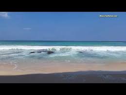 12 Ocean Sound 6 Hours Of Deep Sleep Relaxing Sounds Of Waves Sounds Of Nature Youtube In 2020 Ocean Sounds Ocean Waves