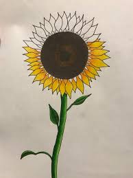 Sunflower drawing on pinterest sunflower.jpg sunflower pencil drawing simple how to draw and sketch a sunflower using pencil pencil drawings. Work In Progress Cc Welcomed Sunflower Drawn From Imagination Used Multiple Google Images As Reference Prismacolor Colored Pencil Drawing