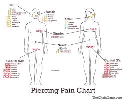 14 Piercing Charts You Wish You Knew About Sooner