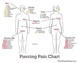 14 Piercing Charts You Wish You Knew About Sooner