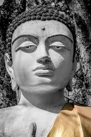 Vincent Bourke Photography