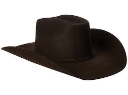 Ariat A7520247 Cowboy Hats Chocolate In 2021 Cowboy Hats Felt Cowboy Hats Brown Cowboy Hat