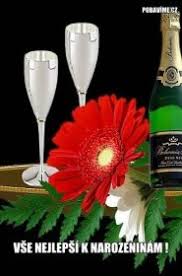 Image result for animovan  p%u0159 n  k narozenin m