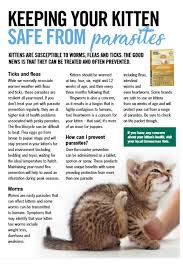 Intestinal parasitosis is probably one of the main reasons why we go to the veterinary practice with our cats, especially when we have just adopted a young kitten. Kittens Are Susceptible To Worms Fleas And Ticks The Good News Is That They Can Be Treated And Often Prevented Cat Care Cat Behavior Cat Care Tips