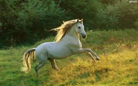 Image result for top images hd