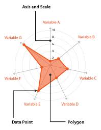 Radar Charts Learn About This Chart And Tools To Create It