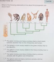 Solved Question 43 2 Points Which Of The Following Statem Chegg Com