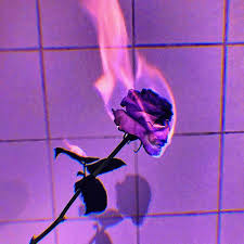 Flower petal sugar cubes are a show stopper for sure. Flower Purple Aesthetic Dark Purple Aesthetic Purple Wallpaper Iphone