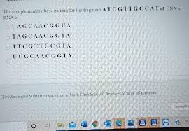 Maybe you would like to learn more about one of these? What Is Meant By Complementary Base Pairing Chegg