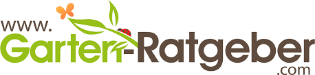 Ratten Im Garten Garten Ratgeber Com