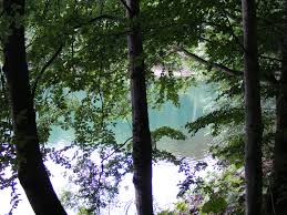 Godine na teritoriji opština andrijevica, mojkovac, kolašin i berane. Lake Biograd Biogradsko Jezero It Is A Glacial Lake Loca Flickr