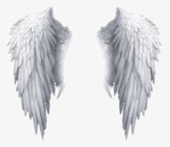 New tattoo sleeve angel wings. White Wings Png Images Free Transparent White Wings Download Kindpng