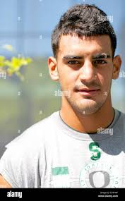 Michigan ducks hi-res stock photography and images