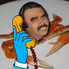 The Sunshine Dreamers New album (and first ever “live” album) is out now