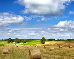 Papeis De Parede Fazenda Campo Paisagem Feno Verao Ceu Nublado 1920x1080 Full Hd 2k Imagem