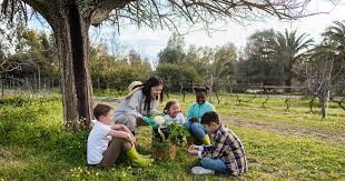 How Nature-Based Learning Benefits Child Development: 8 ...