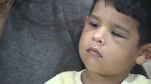 She's one of our kids': Spider monkey returns to family after missing for  24 hours