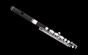 Hd wallpapers and background images. Piccolo Philharmonia